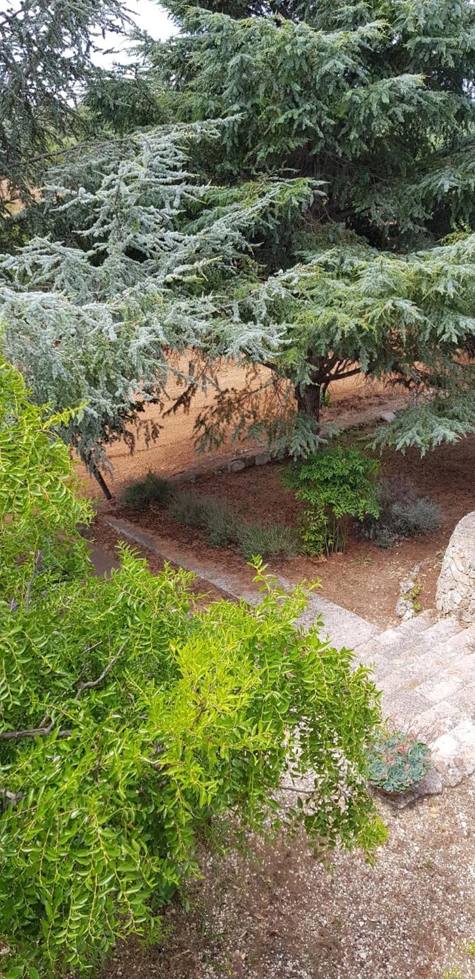Villa Isabella Ostuni Eksteriør bilde